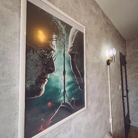 Harry Potter By Carl-emilie 1 1 A 4 Pers Épinal